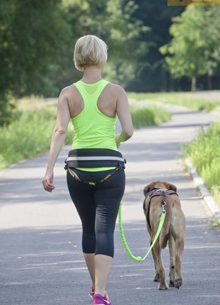 Dingo Pas do biegania Profi - 4 możliwości zapinania