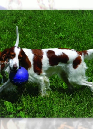 Jolly Romp-n-Roll Bosbessen M (15 cm)