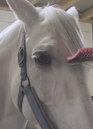 Paardenpraat Horse Supreme Borstel Roze
